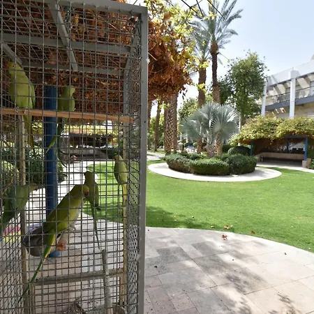 Appartement דירת גן דלוקס à Eilat Extérieur photo