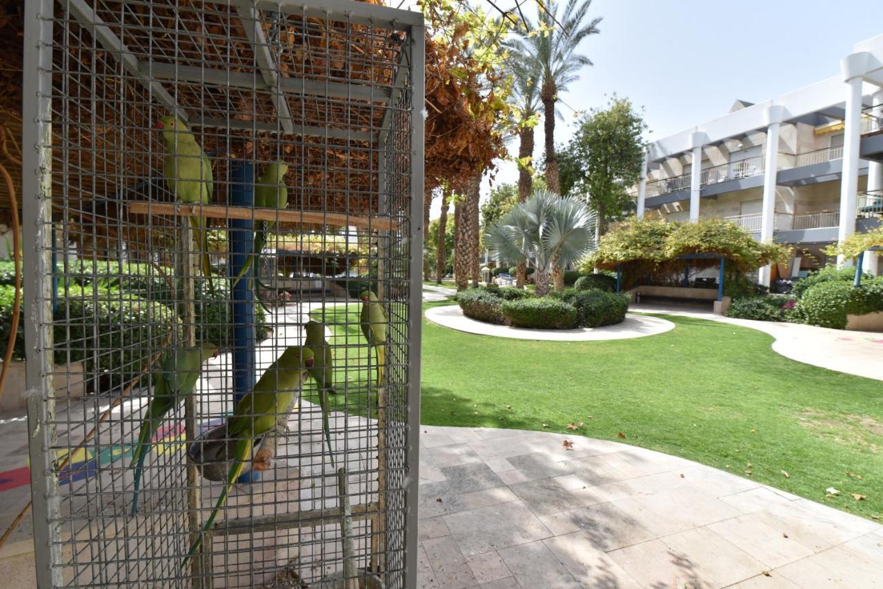 Apartment דירת גן דלוקס Eilat